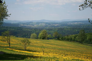 Aussicht über den Bayerischen Wald